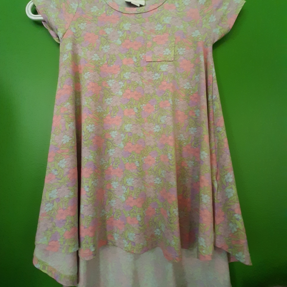 Size 2 Scarlett dress LulaRoe